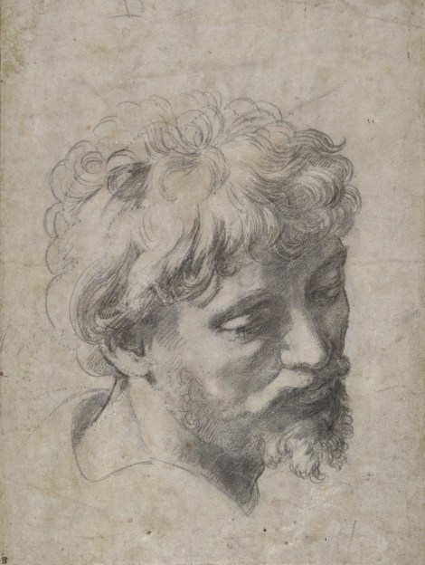Raphael Head of a Young Apostle